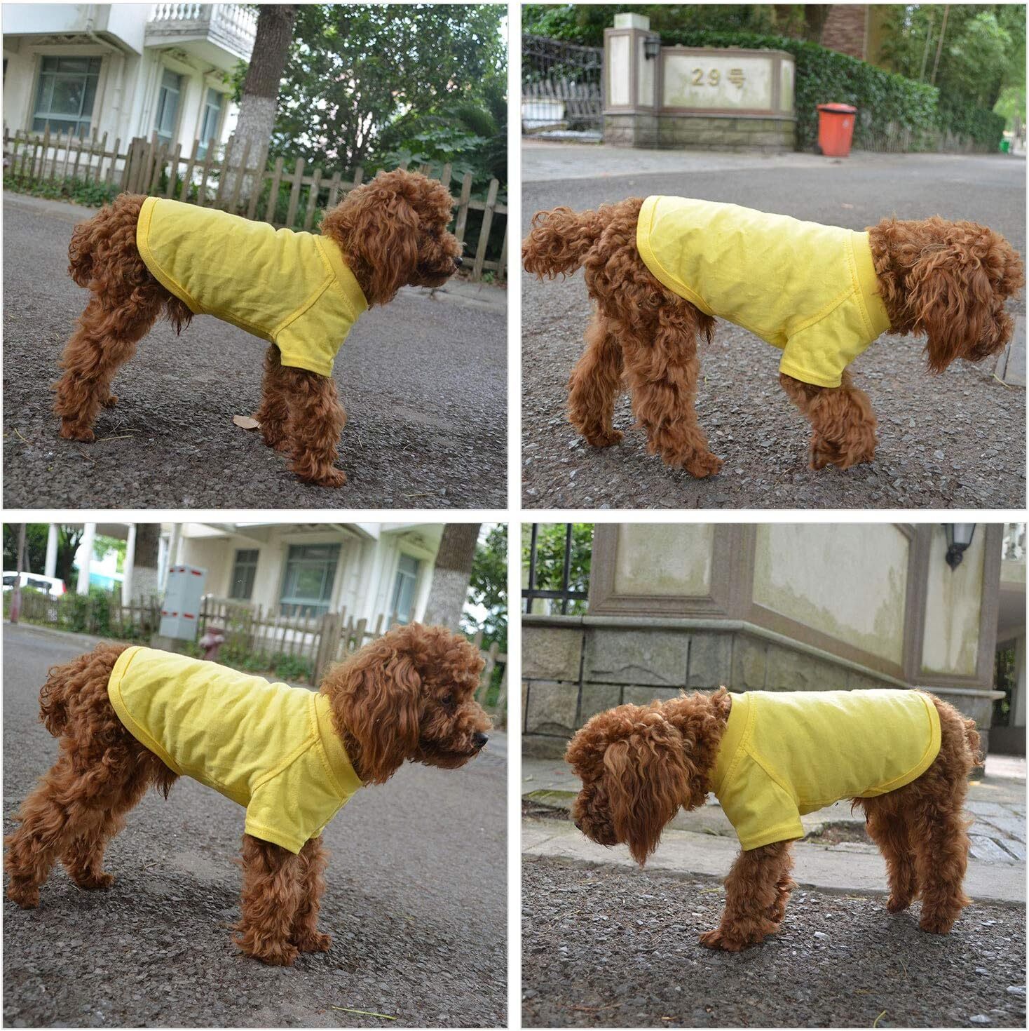 Pet Clothing Dog Costumes Basic Blank T-Shirt Tee Shirts for Large Small Dogs