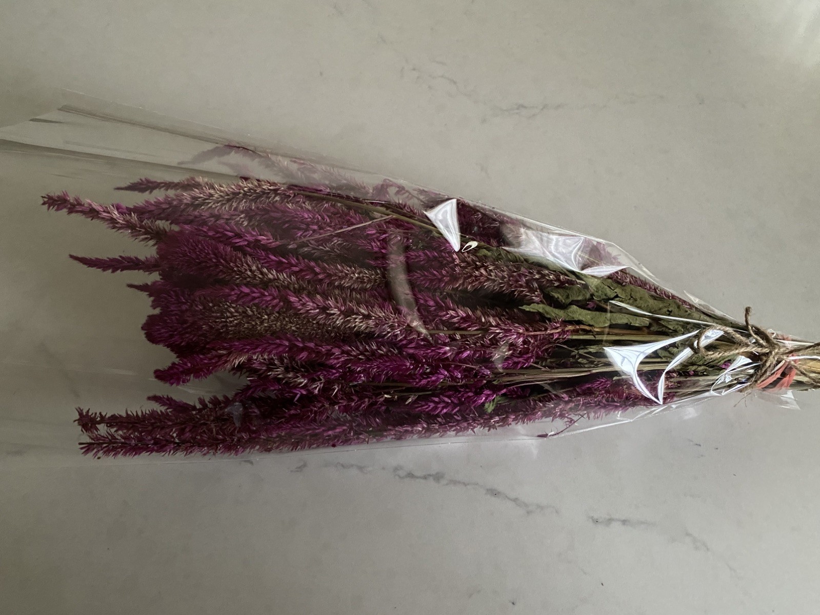 Pencil CELOSIA * Ruby Parfait * Dried Flowers Bunch BOUQUET Bundle * USA