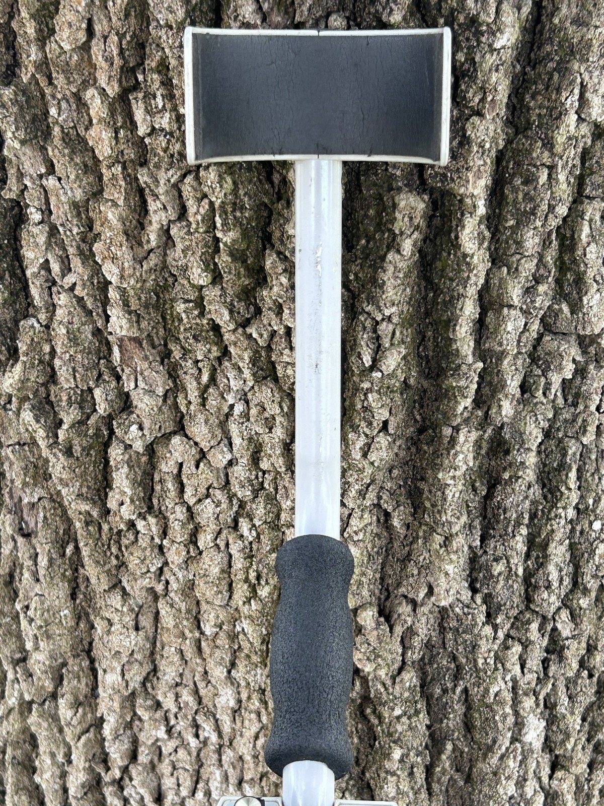 Tesoro VAQUERO Metal Detector w/ 11x8" Coil, Cover, New Battery, Manual - Nice!