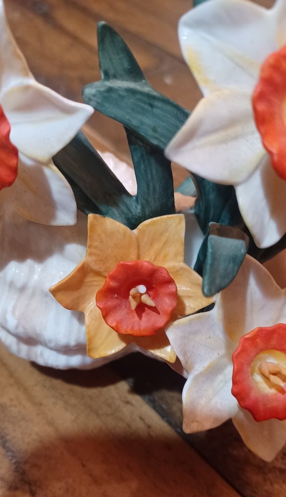 Daffodils In A Sea Shell Beautiful