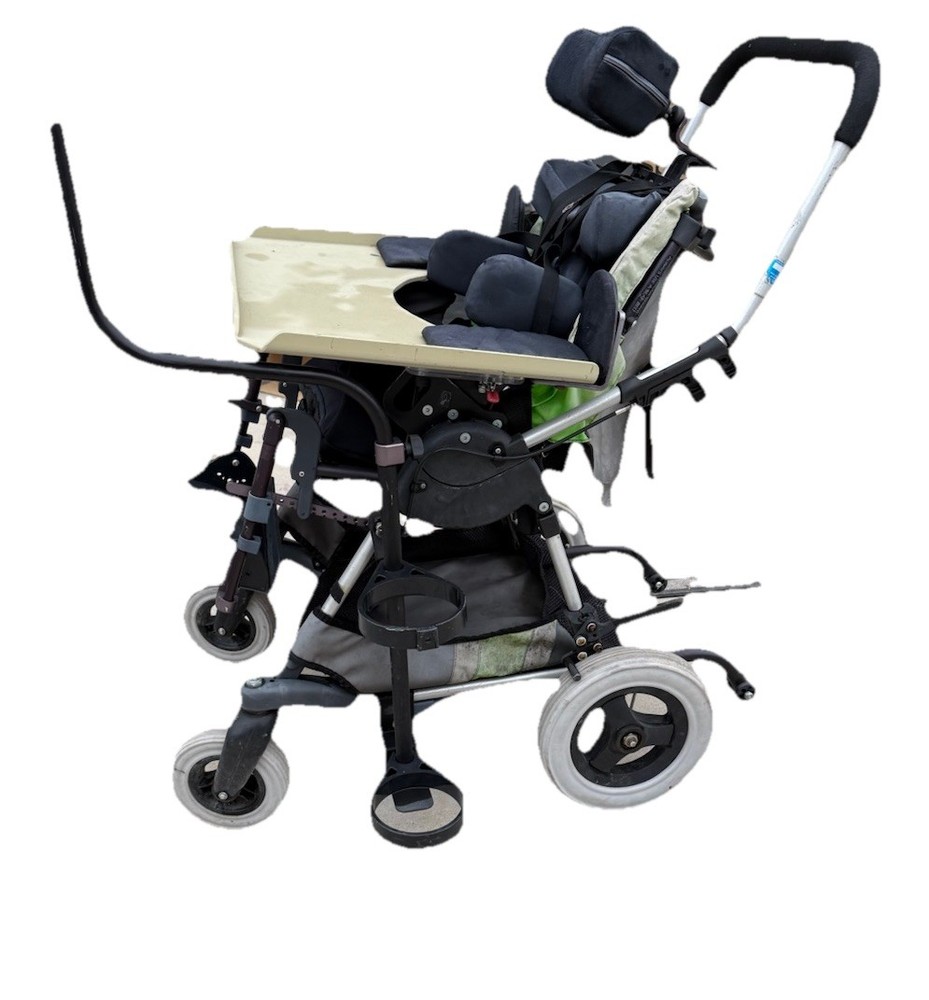 Special Needs Kid Kart Used