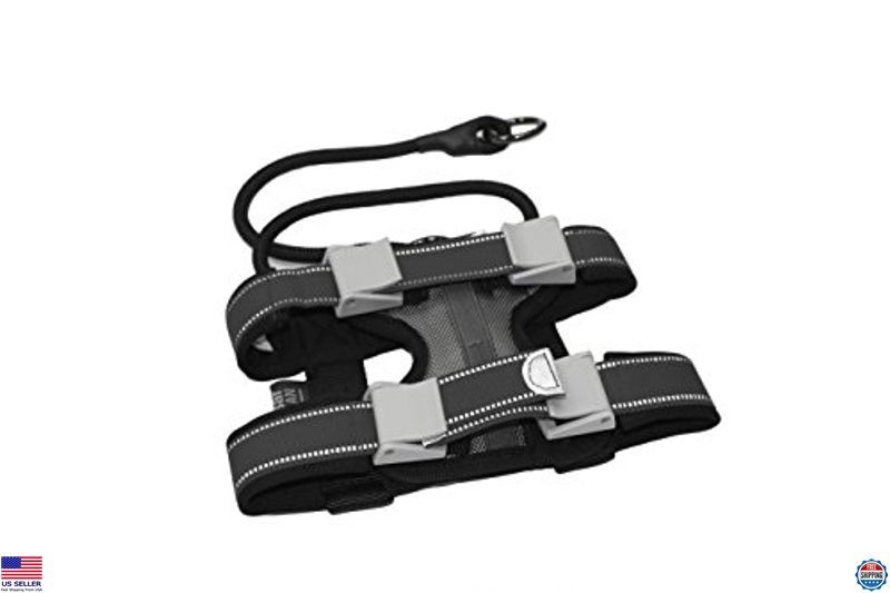 Cesar Millan Pack Leader Collar™ - Premium Training Collar by Dog Whisperer,