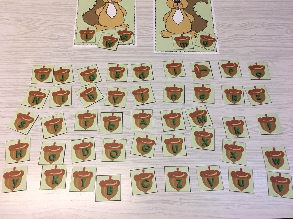 Upper And Lower Case Squirrel & Nut Sort -Laminated Activity Cards Set