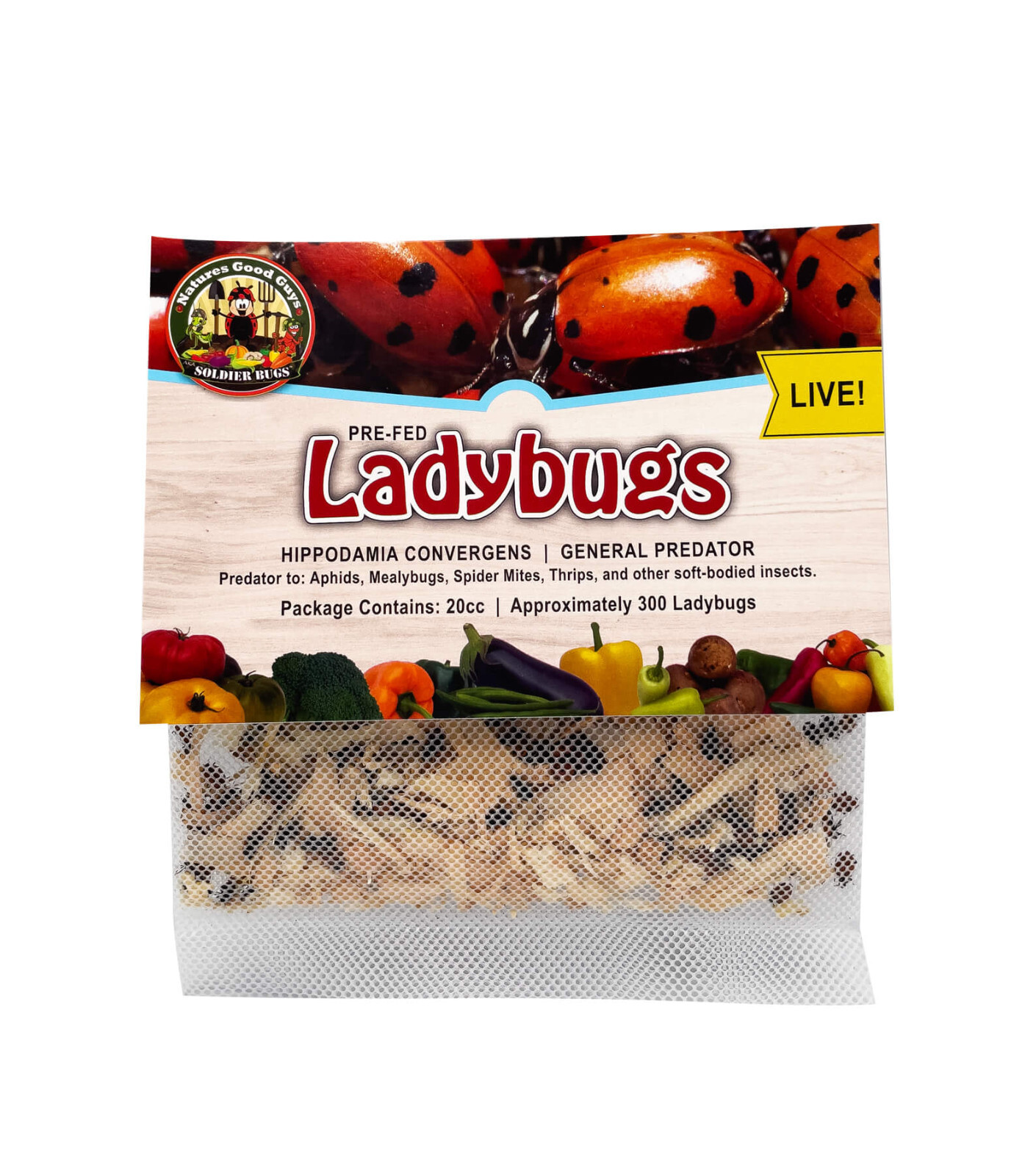 300 Live Ladybugs - General Predator - Guaranteed Live Delivery!
