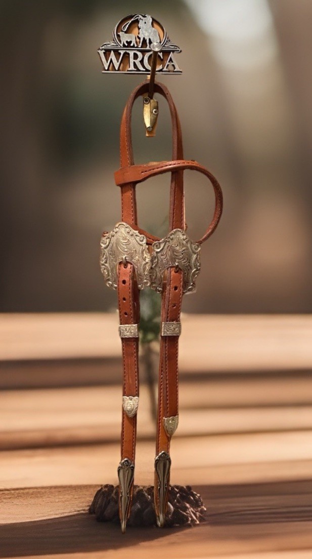 Kathy’s Custom “ Santana “ Large Silver Buckles Western Show Headstall USA