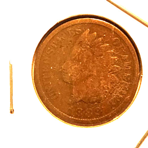 1889 indian head cent