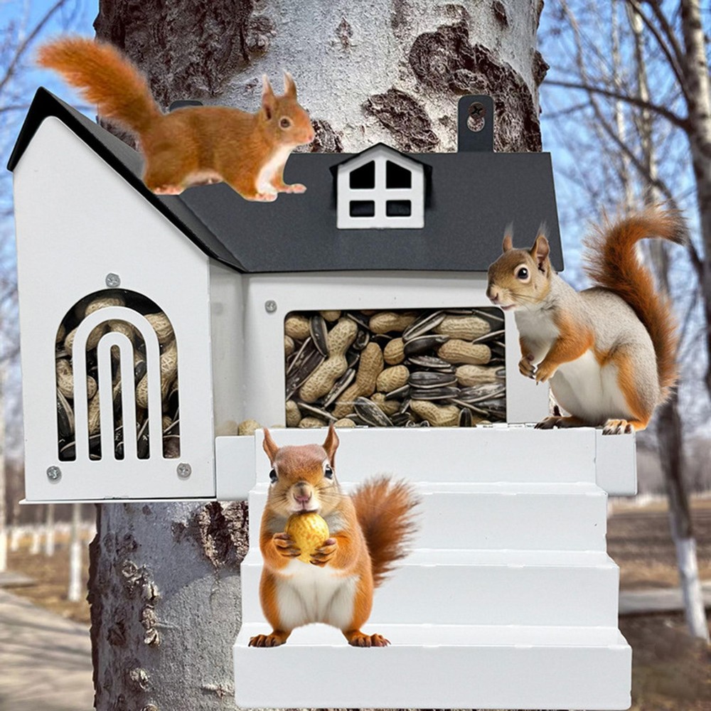 Squirrel Feeder Squirrel Picnic Table Squirrel Feeding Table