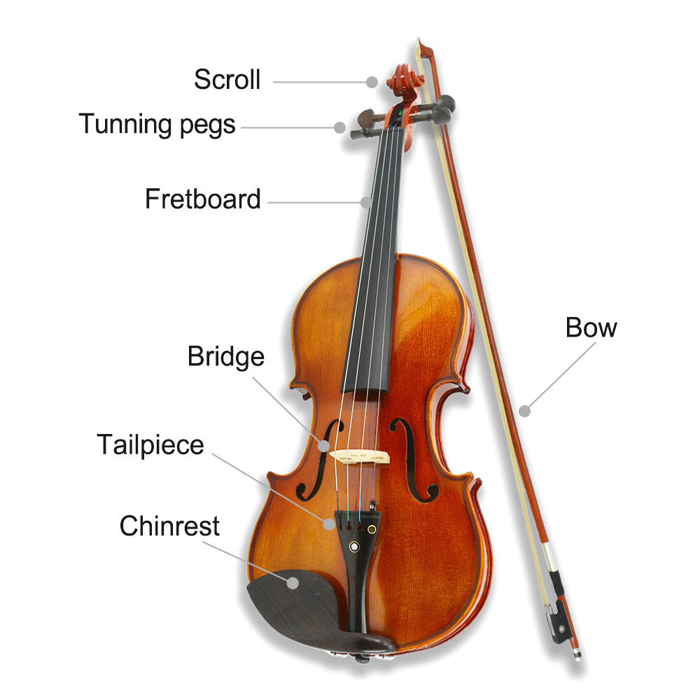 Violin Kit 3/4 4 String Full Size Solid wood Ebony Fittings For Beginner