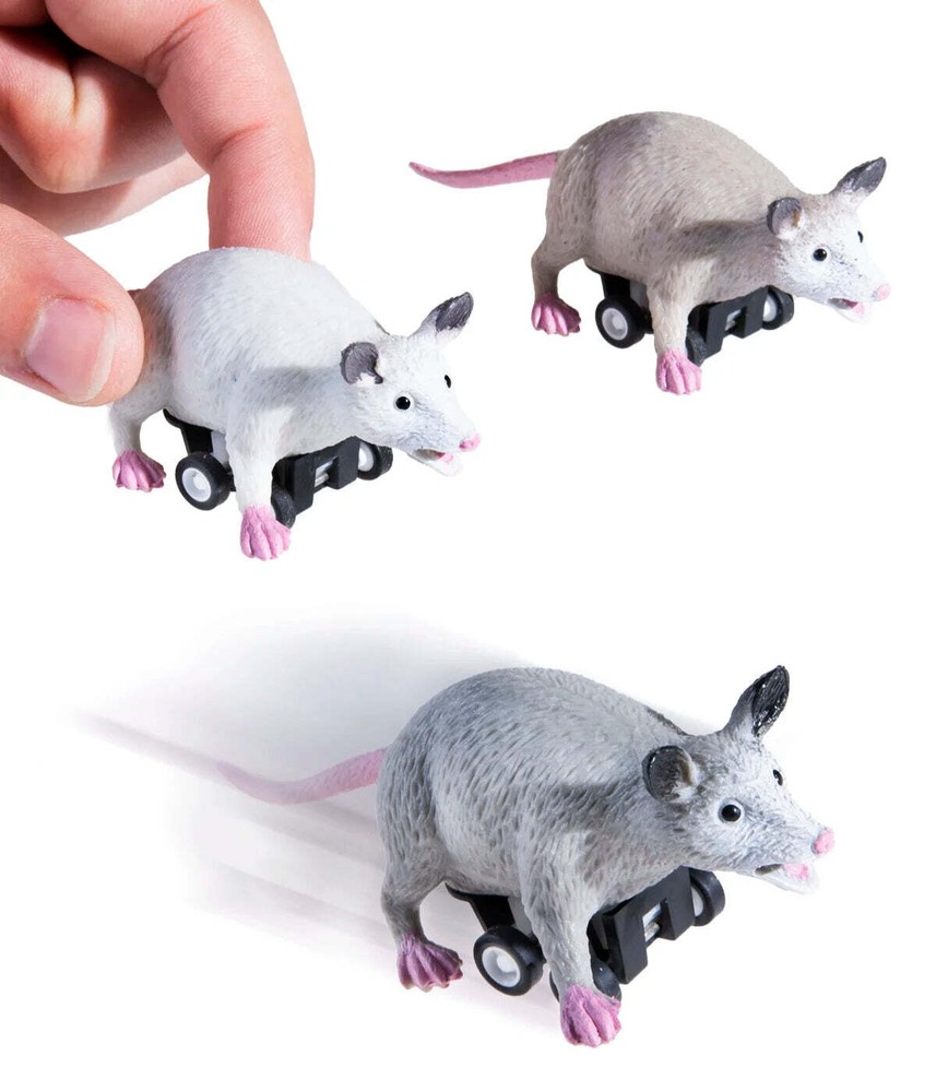 Racing Possums