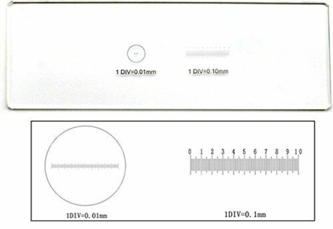 Microscope Stage Micrometer Calibration Slide Graduated Scale Slide 0.1/0.01mm