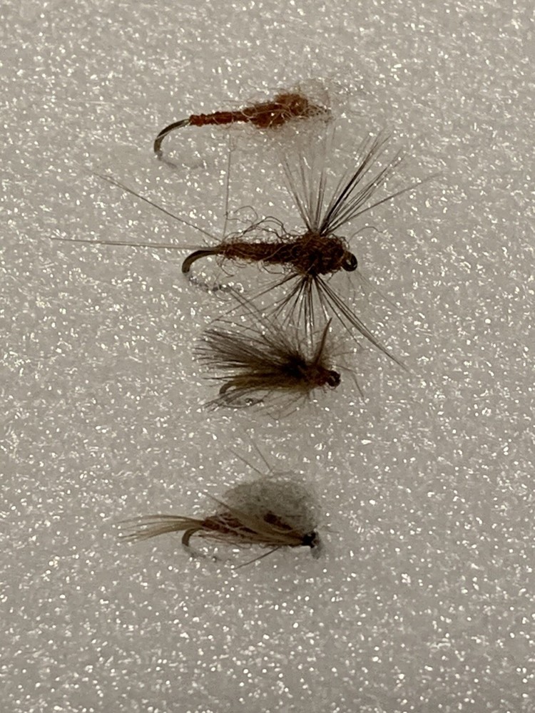 Assorted Freshwater Flies For Trout