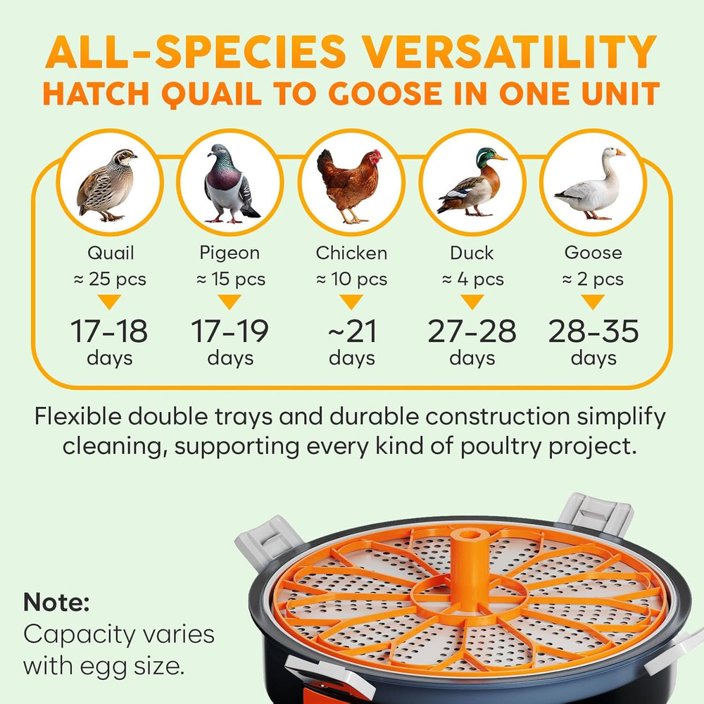 12 Egg Incubator with Automatic Egg Turning and Humidity Control – Temperature A