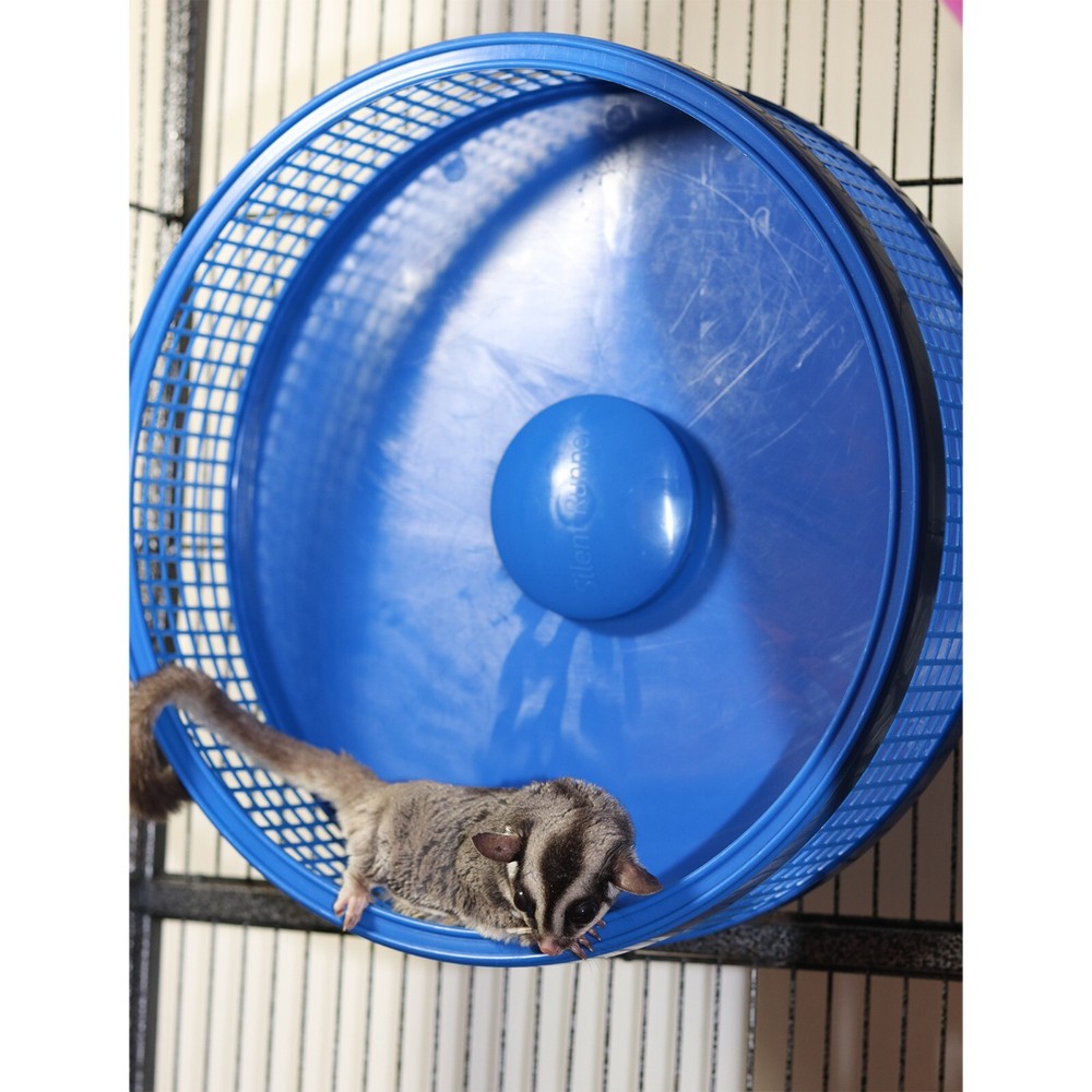 Silent Runner Pro Blue - Durable Pet Exercise Wheel with Stand