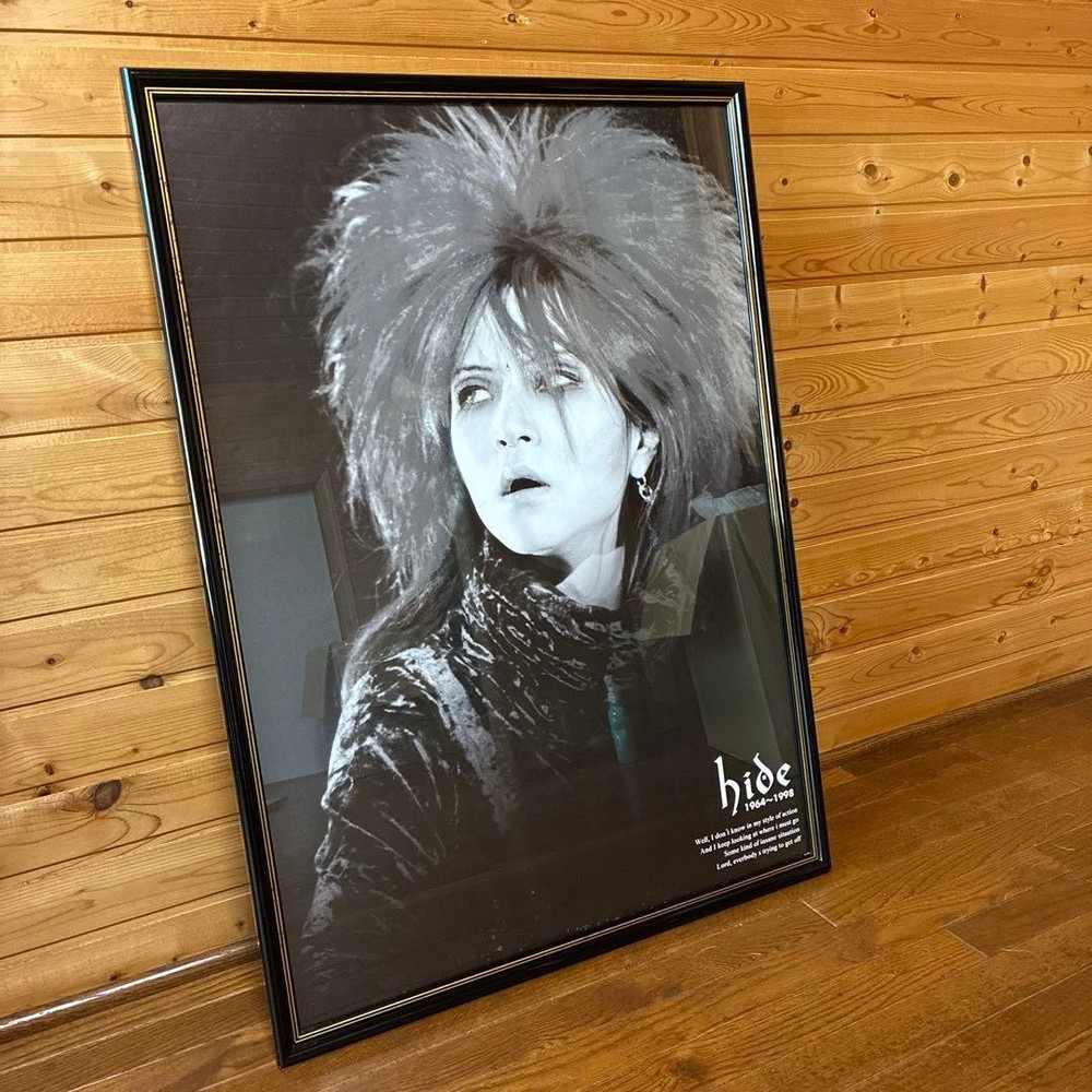 hide poster framed