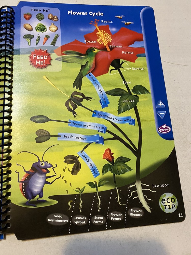 Quantum Pad Learning System - 4th Grade SCIENCE Book ONLY