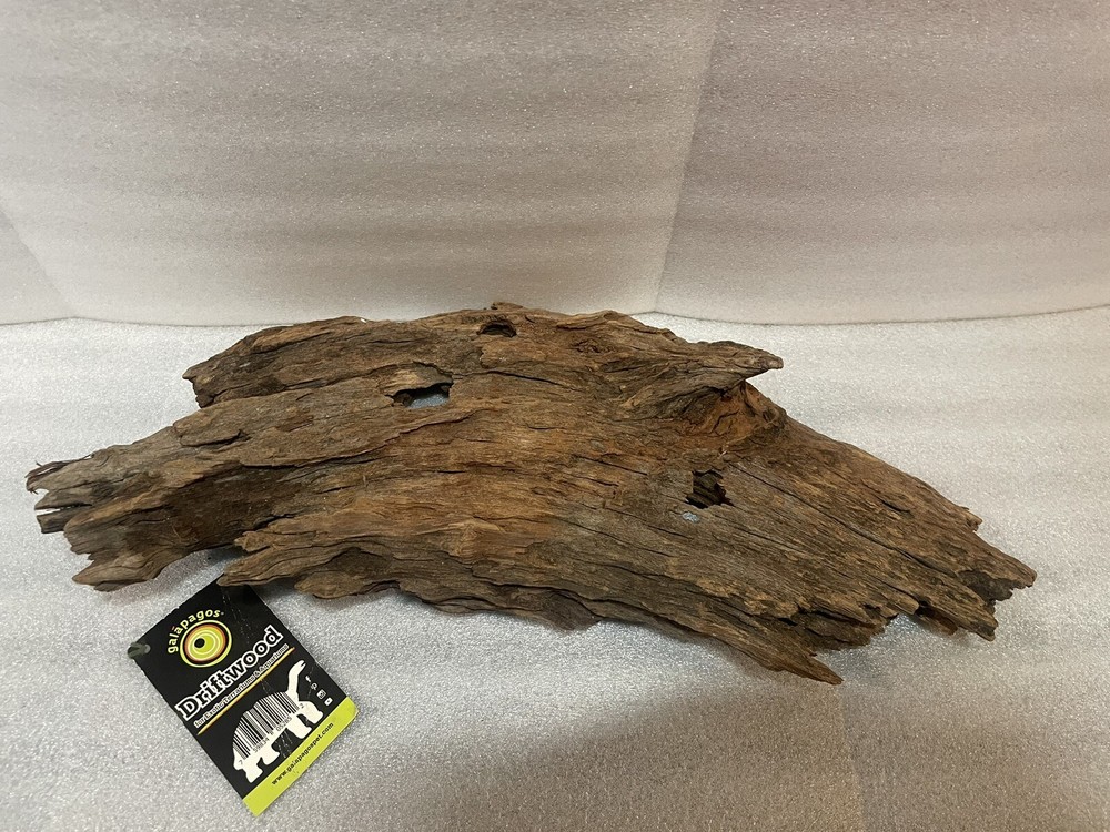 Galapagos Driftwood