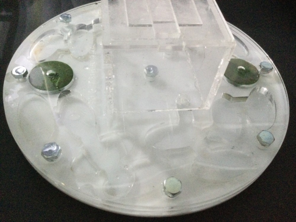 Ant formicarium Ant Colony