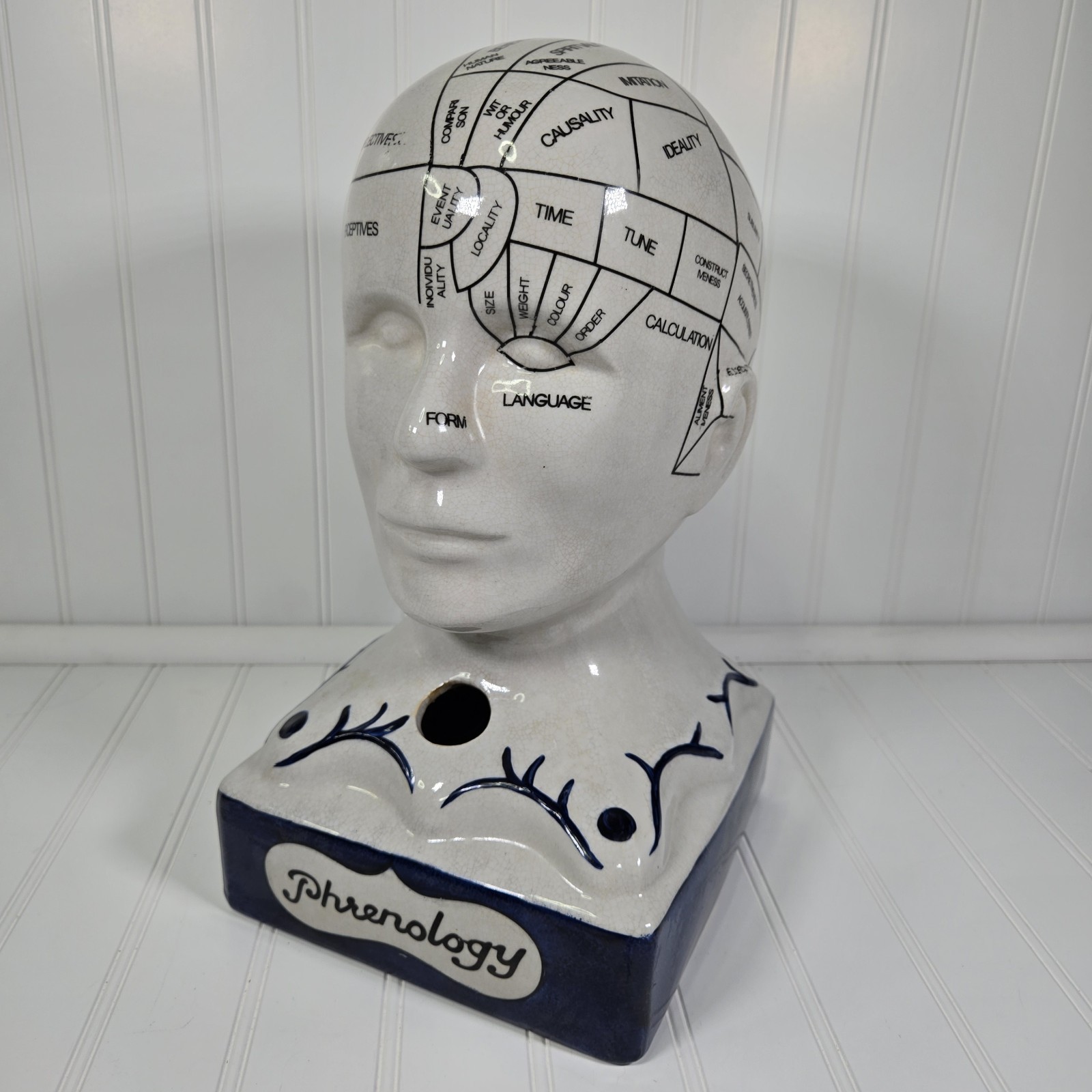 Phrenology Bust Table Head Statue 13” Ceramic Vintage Porcelain Pseudoscience