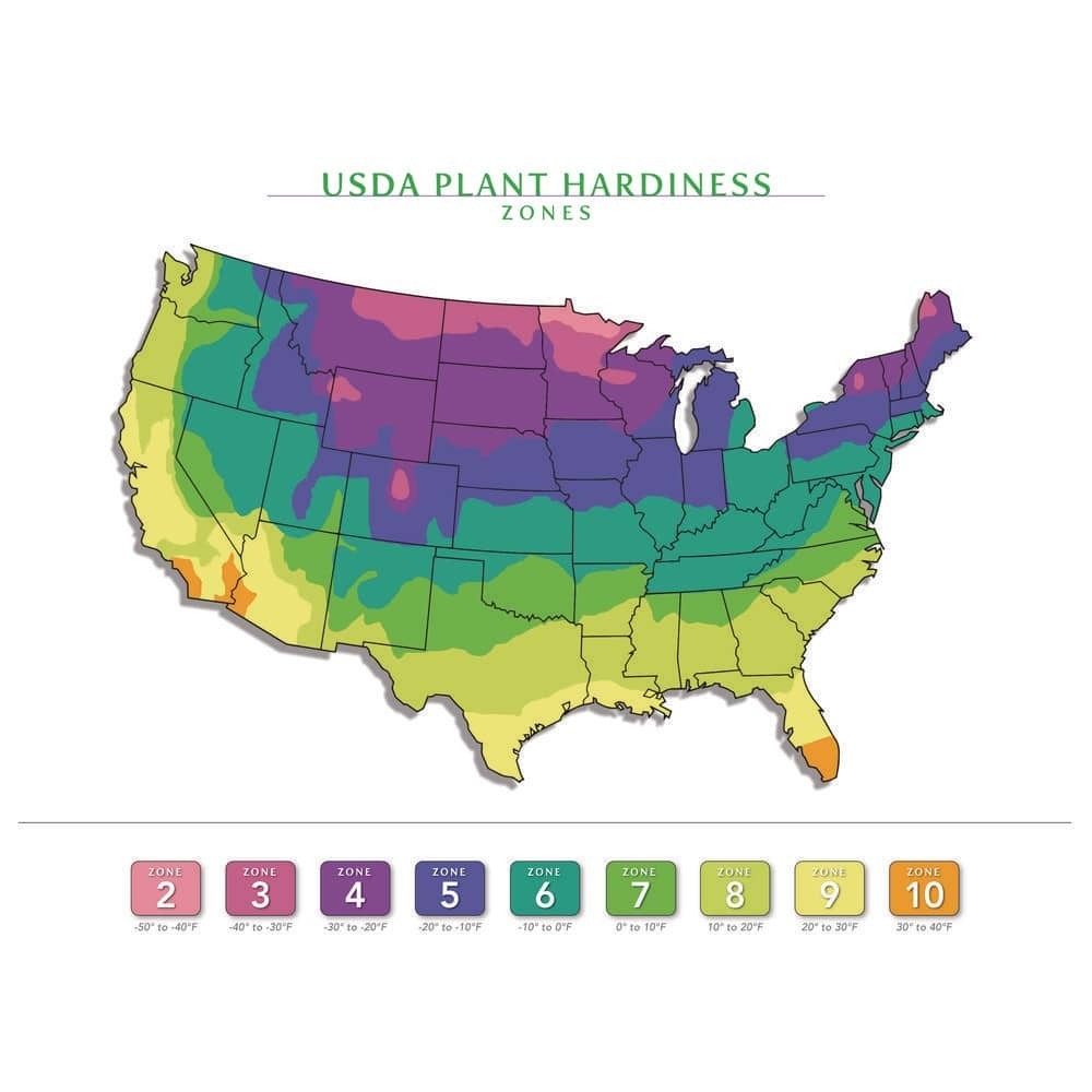 Straw Bale Full Size NEW