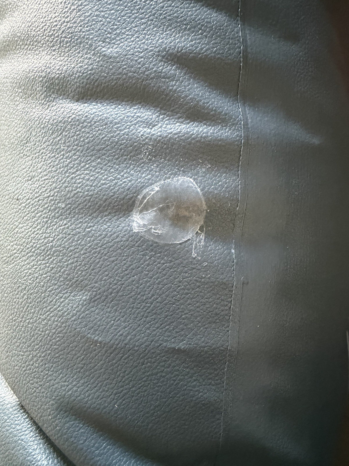 Coleman Palm Springs 4 to 6 Person Hot Tub ~77x28 Replacement ( Tub Only )