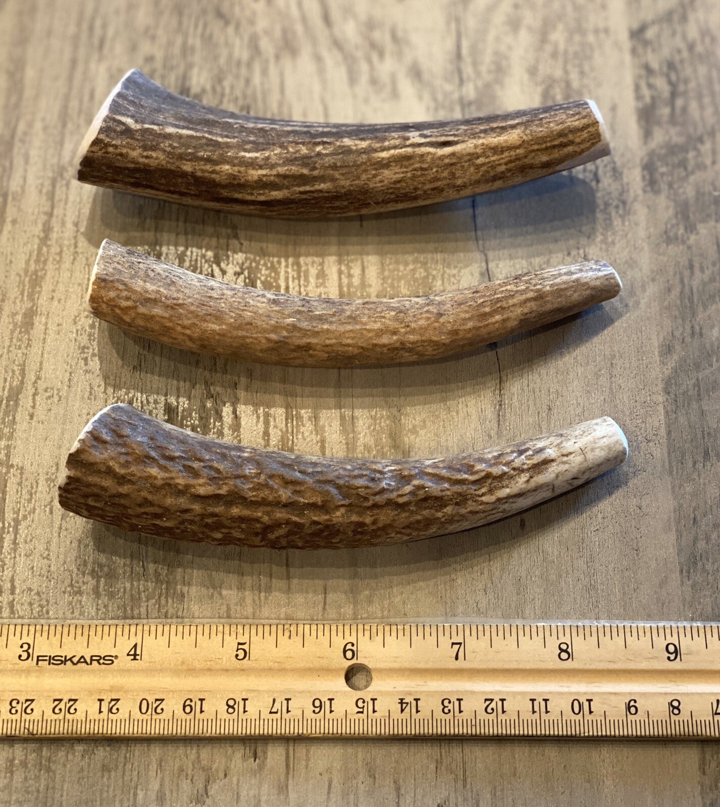 MEDIUM  Elk/Deer Antler Premium Dog Chew (1pc) **OREGON ANTLER WORKS**