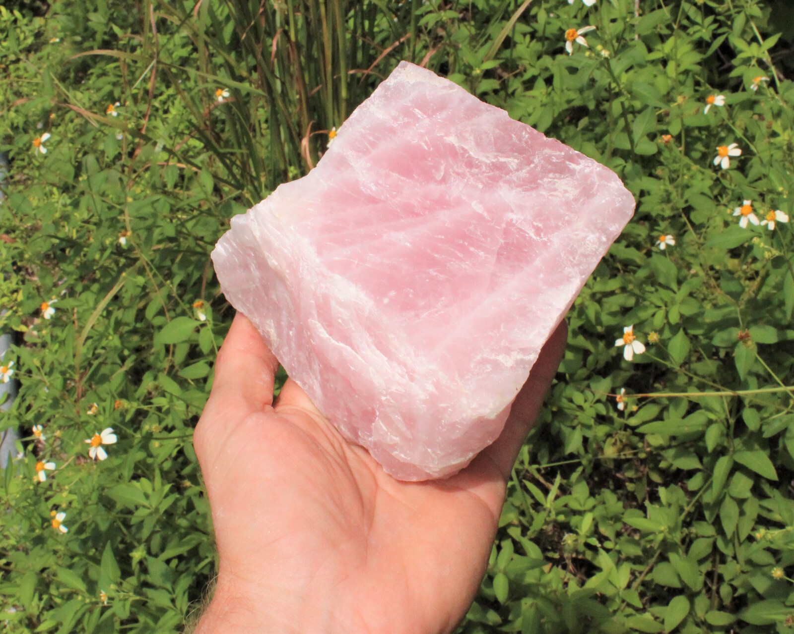 JUMBO Rose Quartz Natural Raw Crystals - Choose Size Huge Chunks (Love Stone)