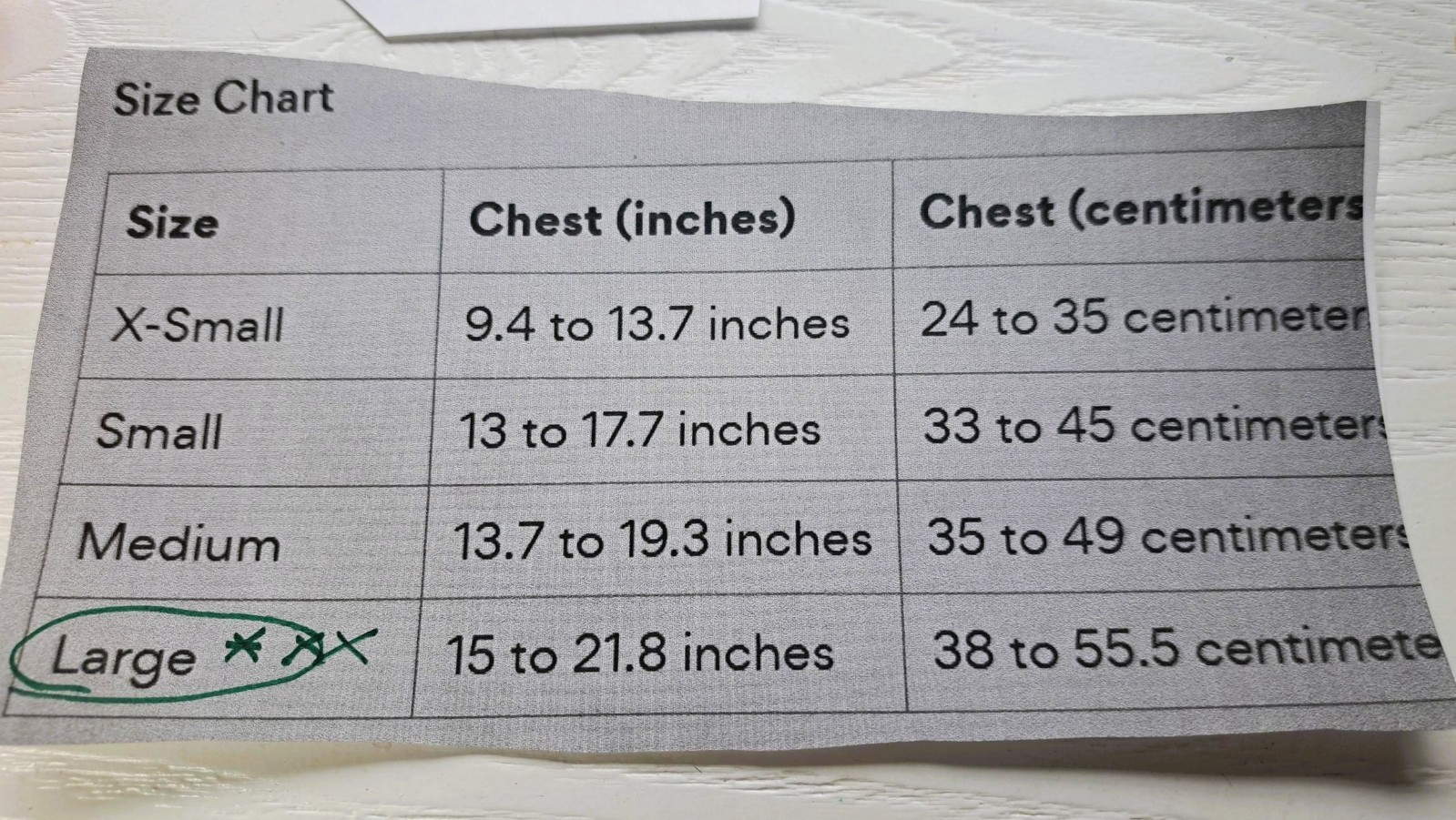 Travel Cat Orange Reflective Harness LARGE & 4' Leash - Chest 15-21.8 Inches