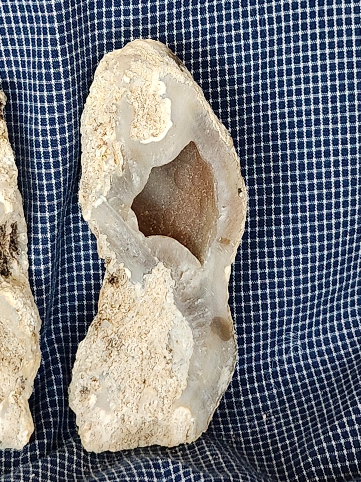 Florida Agatized Coral Fossil Pair, Unpolished Chalcedony Geode Fluorescent!