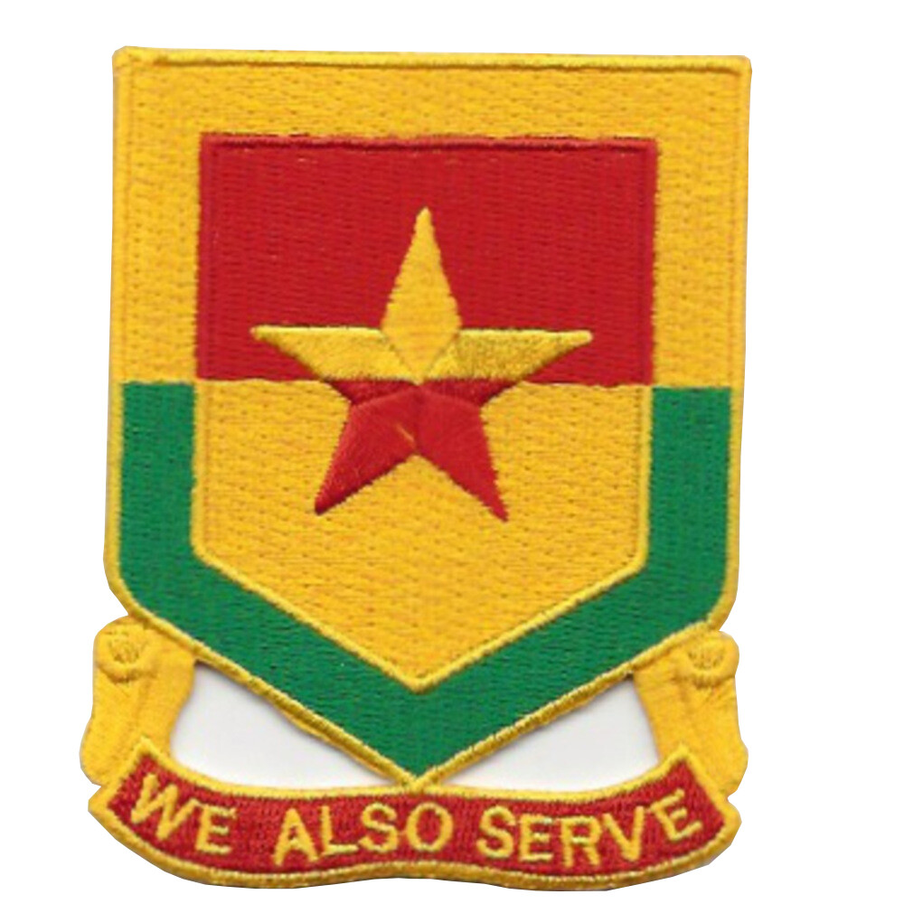 313rd Cavalry Regiment Patch