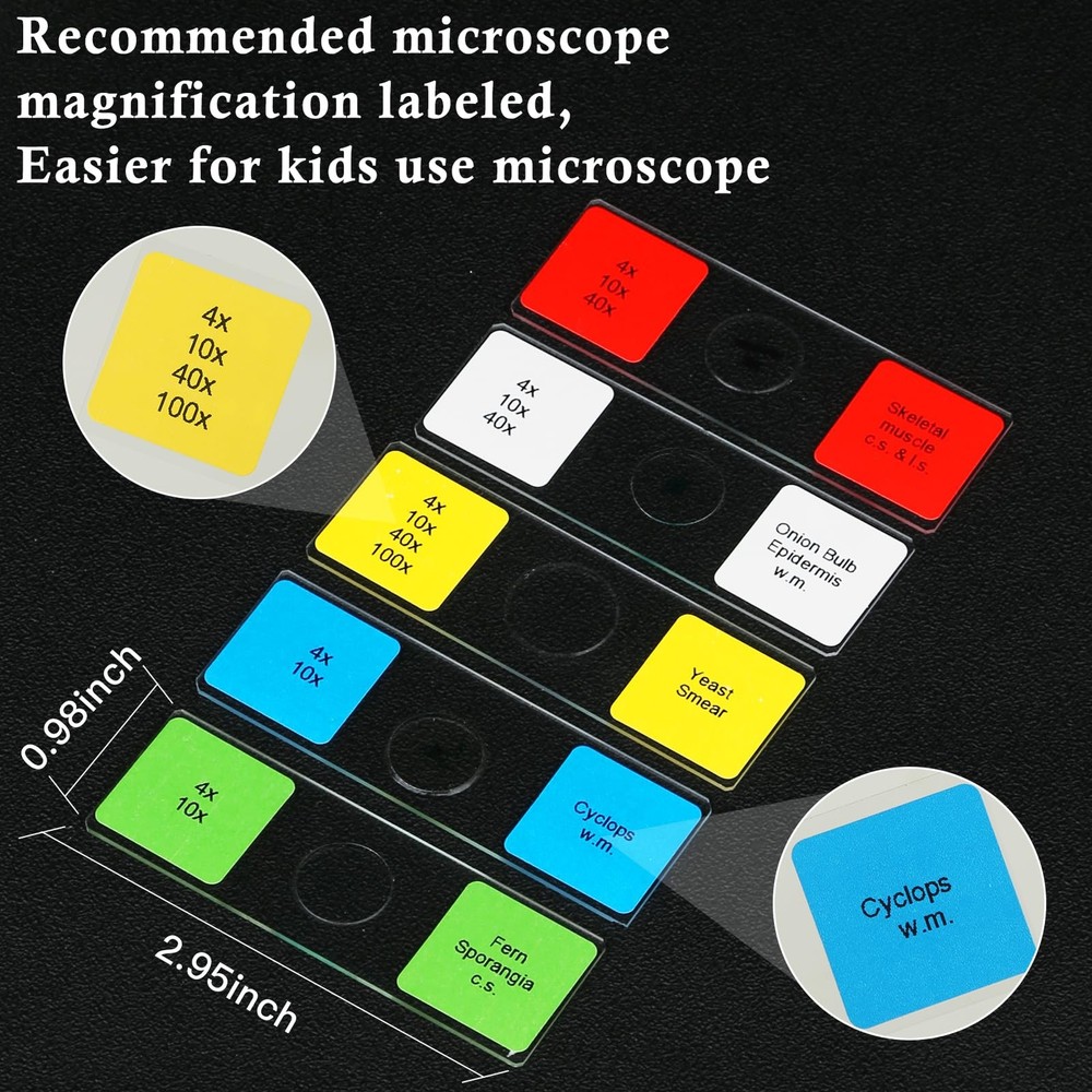Microscope Slides with Specimens for , 60 Lab-Prepared Microscope Slides, Ani...