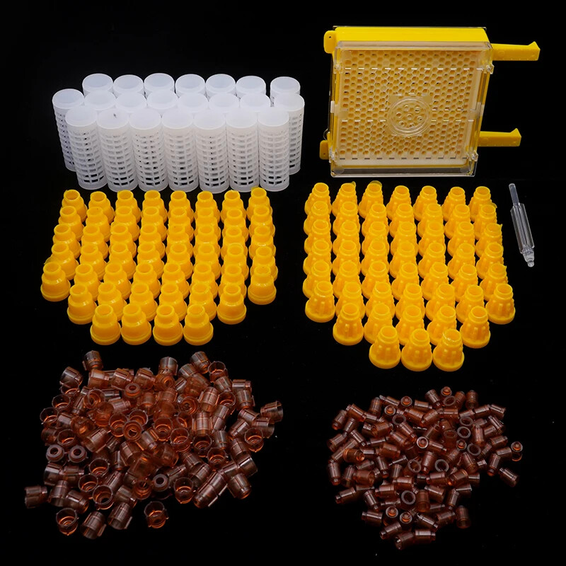 Bee Queen Rearing Kit Complete Apiculture Tools Cage Holder Plastic Cell Cups