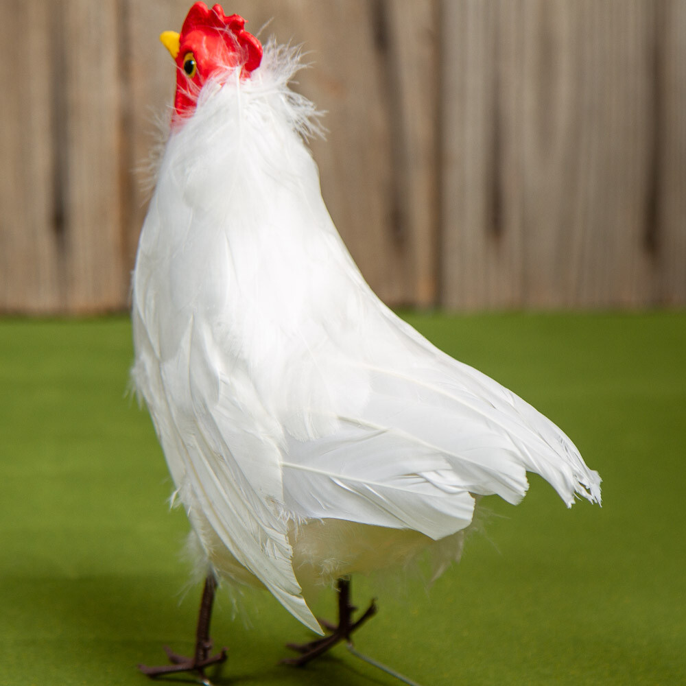 10" Artificial White Feathered Decorative Hen Chicken