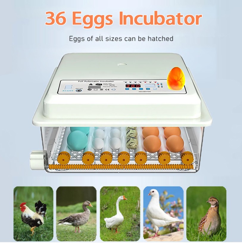 36 Egg Incubator w/Automatic Egg Turning & Temperature Humidity Control UK