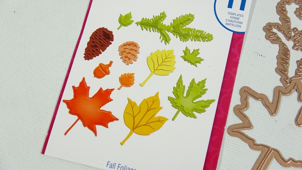 Spellbinders Shapeabilities Fall Foliage Craft Dies S5120