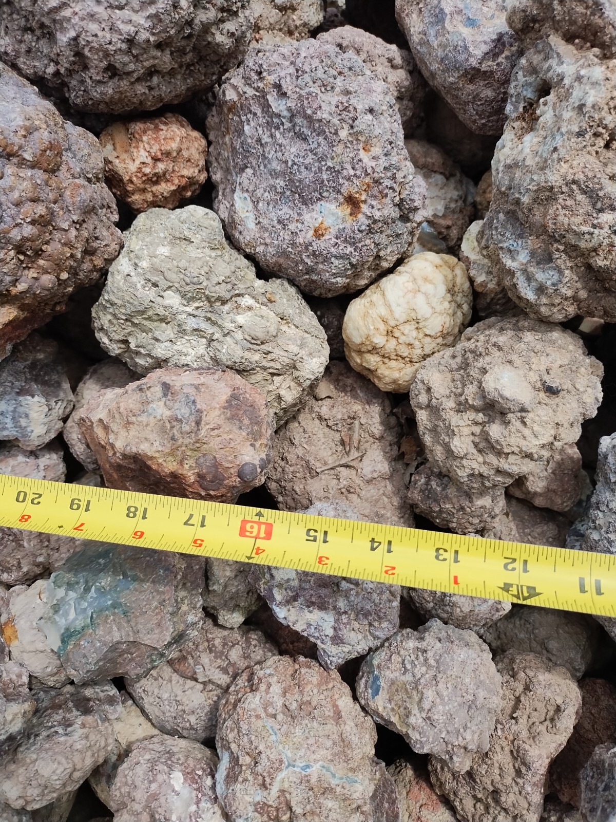 Thundereggs, Oregon, 4 Pound lot, Whole Uncut Rough, Agate