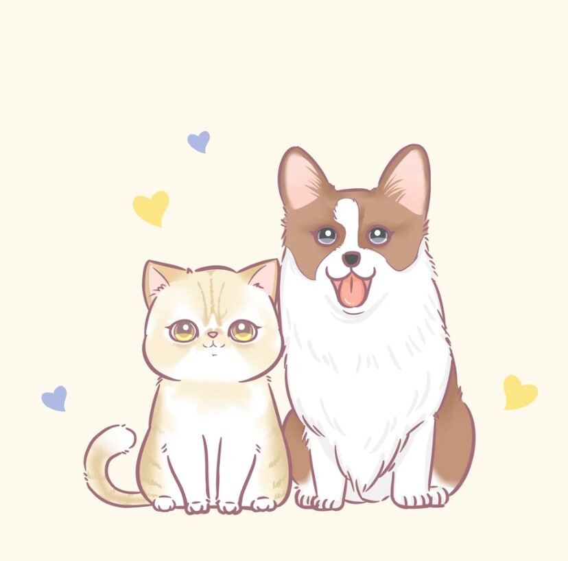 Creating customized pet pictures/logo