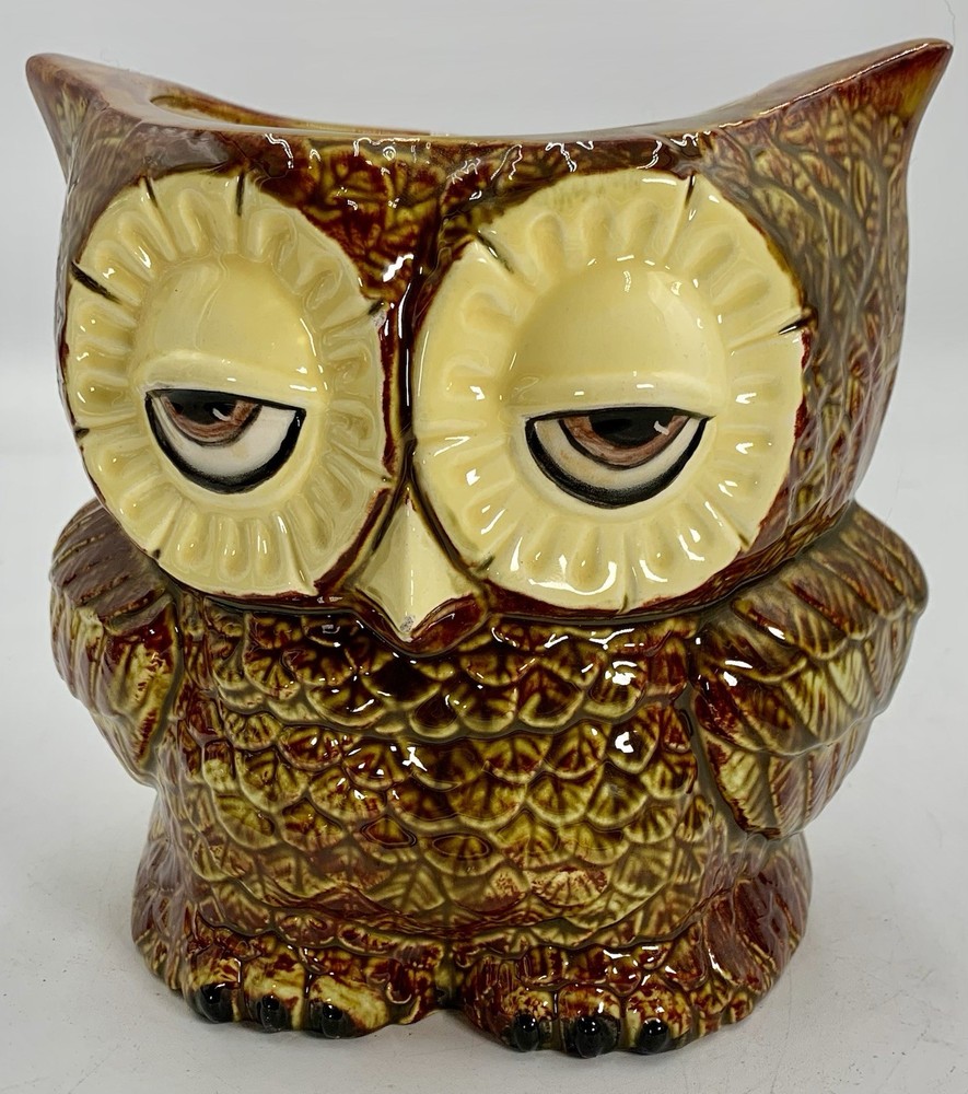 Claylicious Painted Ceramic Owl Planter Pot