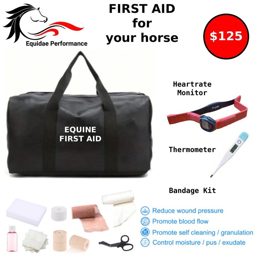 Horse First Aid Kit