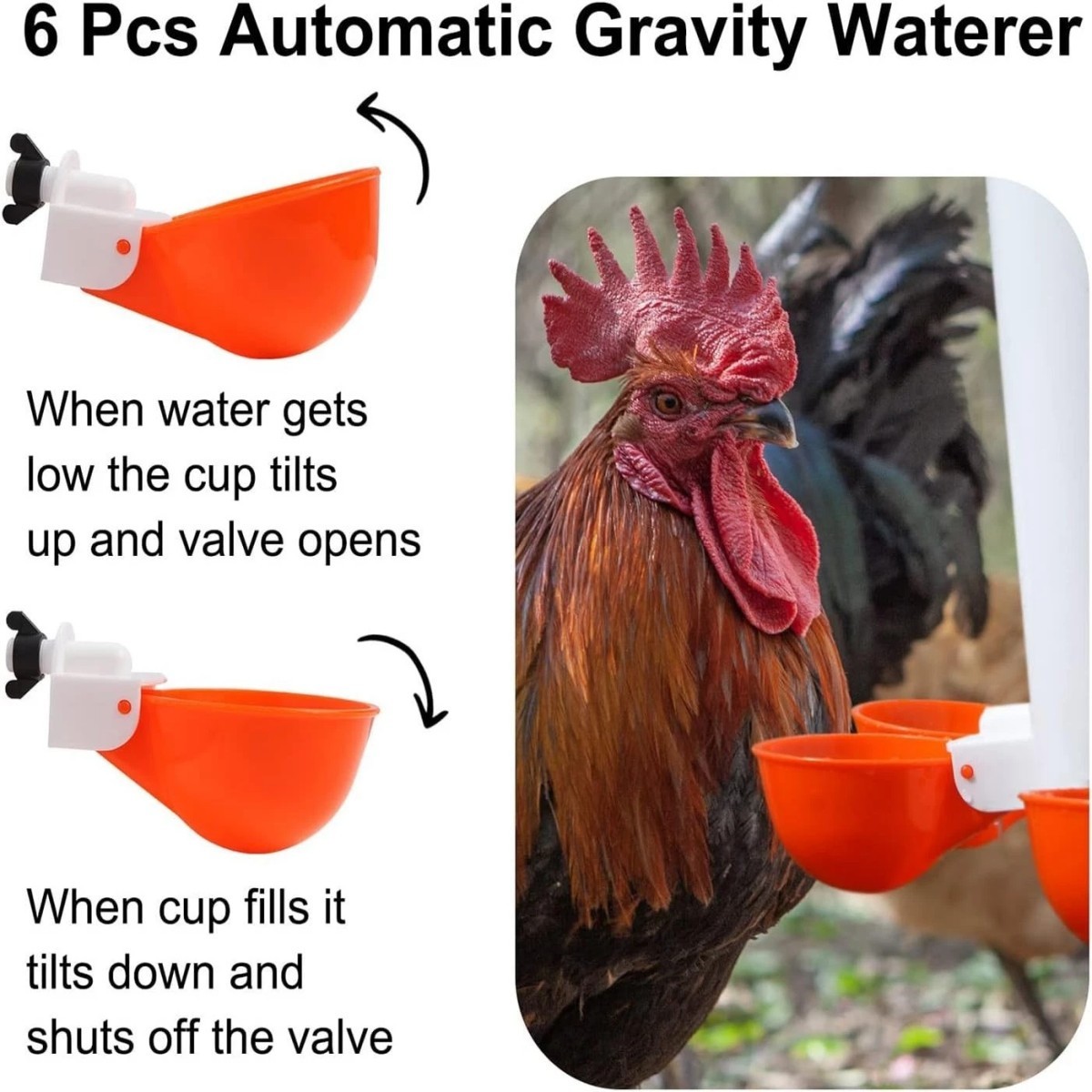 Chicken Feeder No Waste Automatic Poultry Feeder DIY Chicken Feeders and Waterer