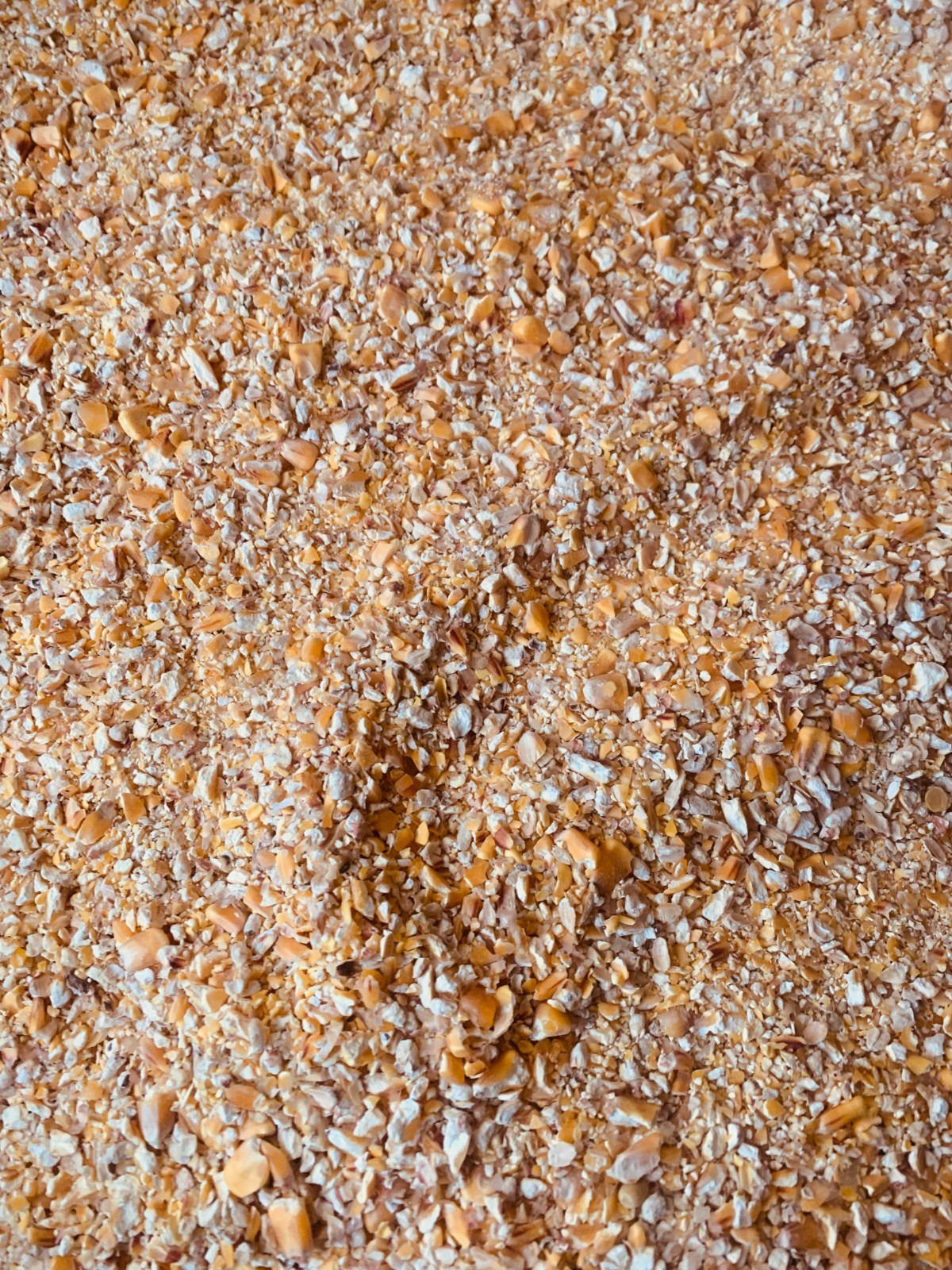 Cracked Corn Premium Chicken Scratch Duck Turkey Bird Feed 15 lb Low Ship Cost