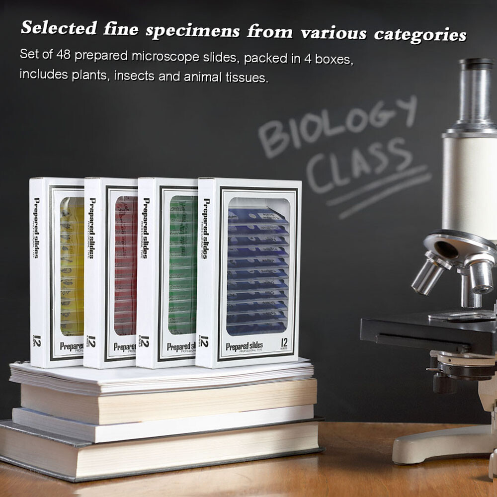48pcs/set Prepared Microscope Slides Animals Insects Plants Sample Y4D1