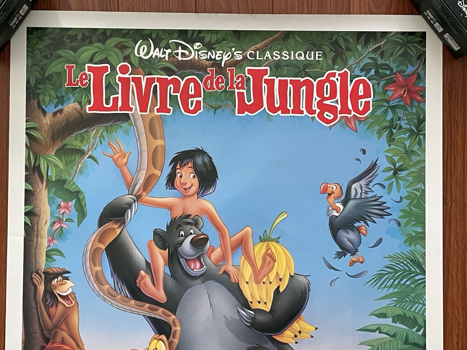 Disney THE JUNGLE BOOK French Original Movie Theater Poster 41”x 27”