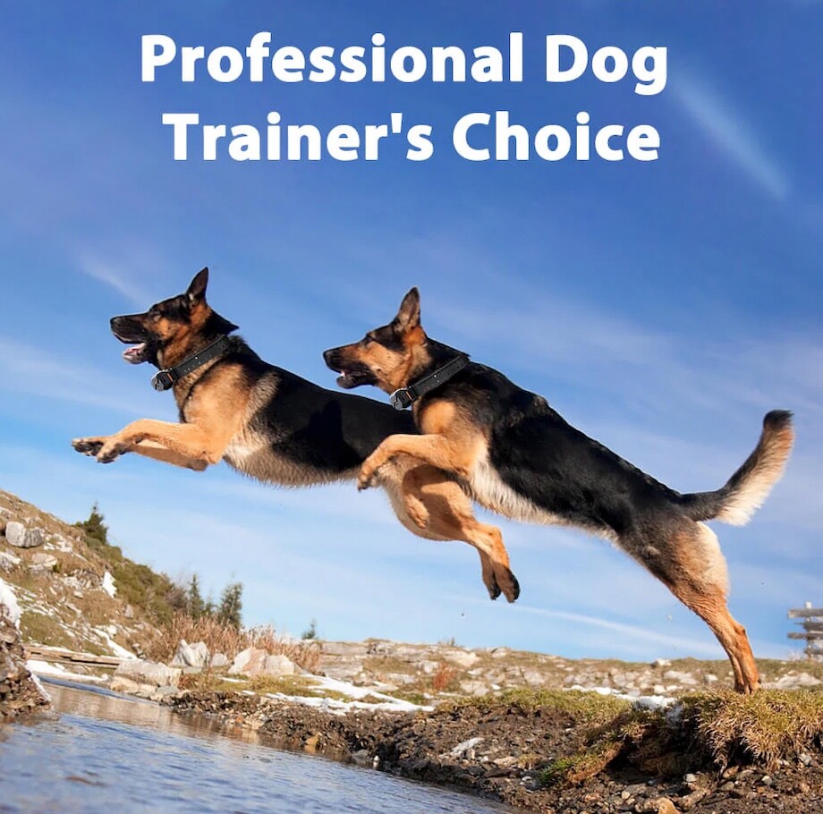 Long Range Dog Training Collar 910Pro (3/4 Mile) (Black)