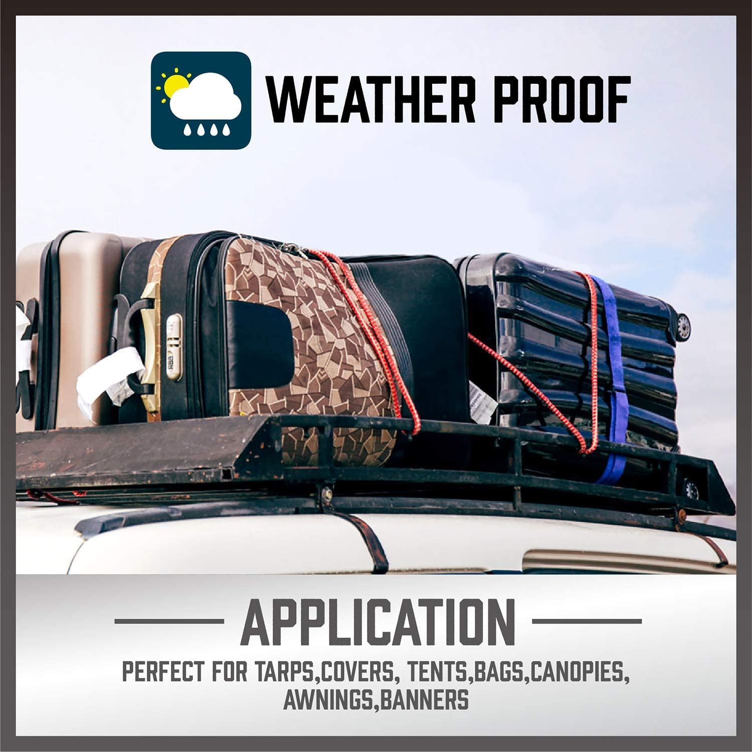 31-Piece Premium Bungee Cords Assortment Jar, Includes 10”,18”,24”,32”,40” Bunge