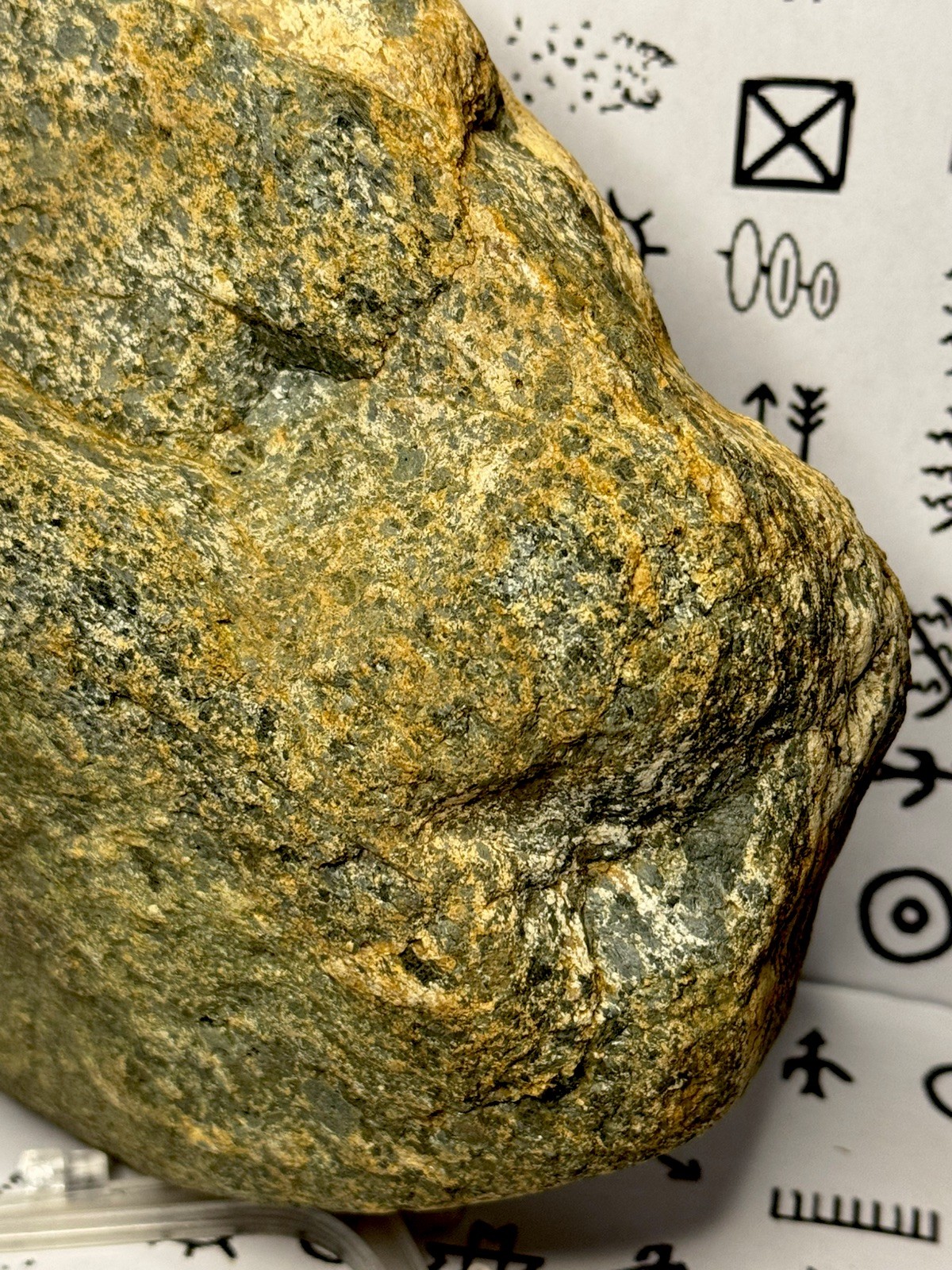 Native American Indian Authentic Artifact Stone Carved Effigy, 8 lb 2 oz • VA