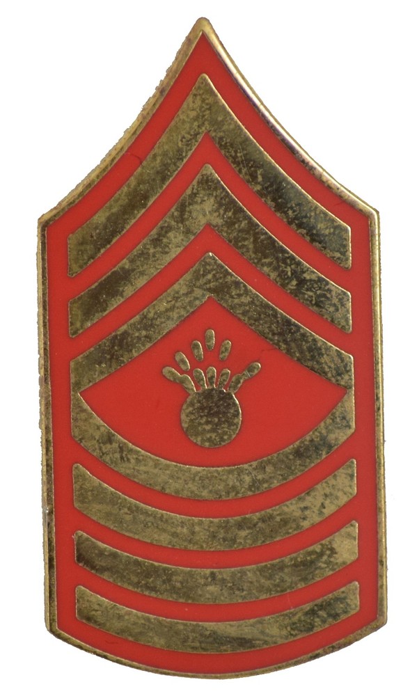 E-9 MASTER GUNNERY SGT HAT PIN