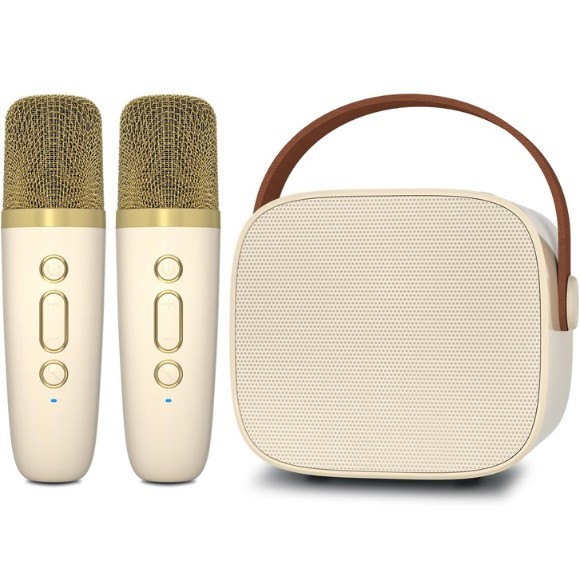 "Mini Karaoke Machine with 2 Wireless Microphone, Bluetooth Speaker for Kids and