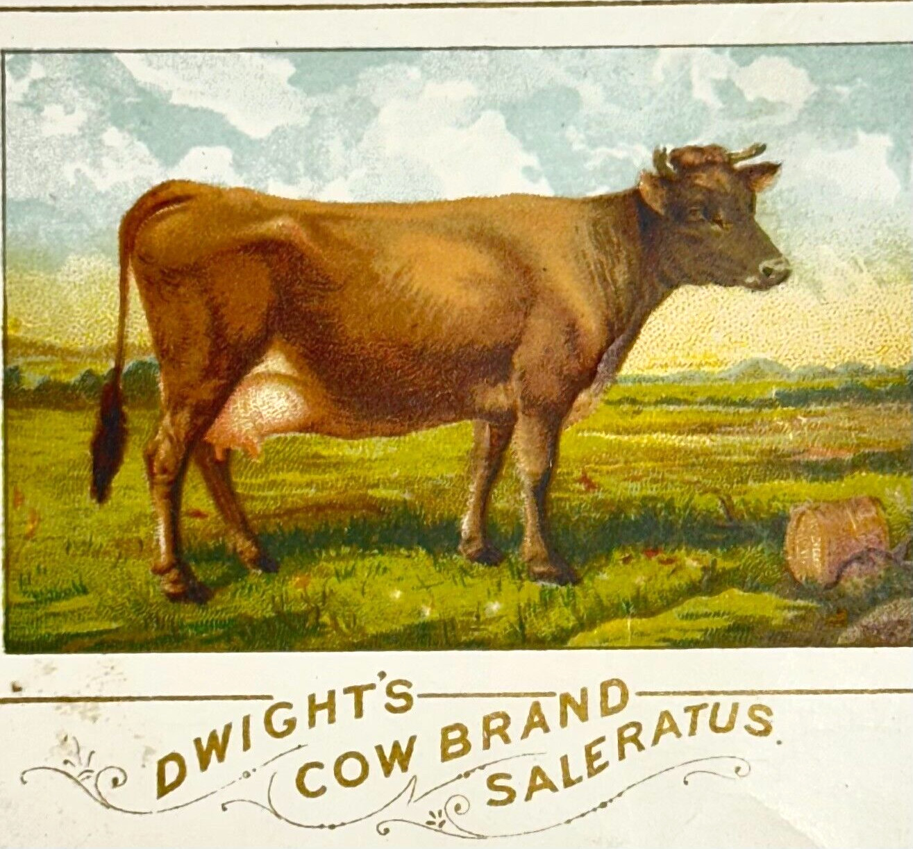 Dwight's Cow Brand Saleratus Cow in Pasture Victorian Trade Card