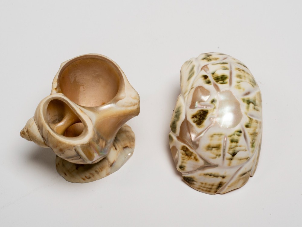 Two Antique Carved Shell Salts