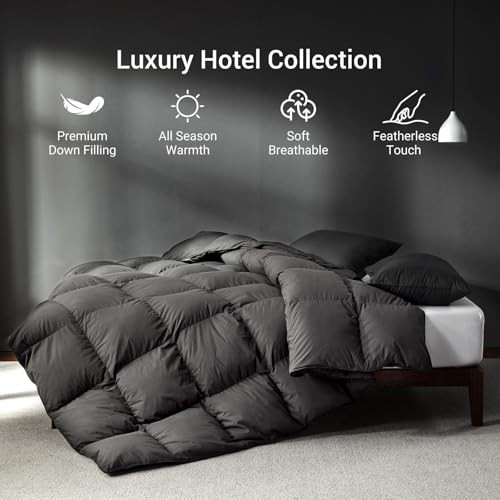 Grey Goose Feather Down Comforter Queen Size, Premium Queen-90x90" Dark Grey